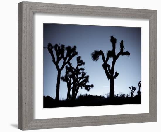 California, Joshua Tree National Park, Joshua Tree, Yucca Brevifolia, in Hidden Valley, Dawn, USA-Walter Bibikow-Framed Photographic Print