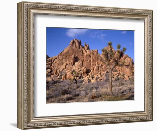 California, Joshua Tree National Park, Joshua Trees and Monzonite Granite Boulders at Hidden Valley-John Barger-Framed Premium Photographic Print