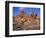 California, Joshua Tree National Park, Joshua Trees and Monzonite Granite Boulders at Hidden Valley-John Barger-Framed Premium Photographic Print