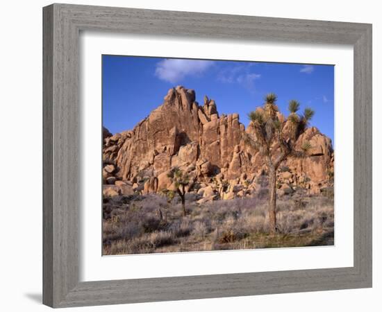 California, Joshua Tree National Park, Joshua Trees and Monzonite Granite Boulders at Hidden Valley-John Barger-Framed Photographic Print