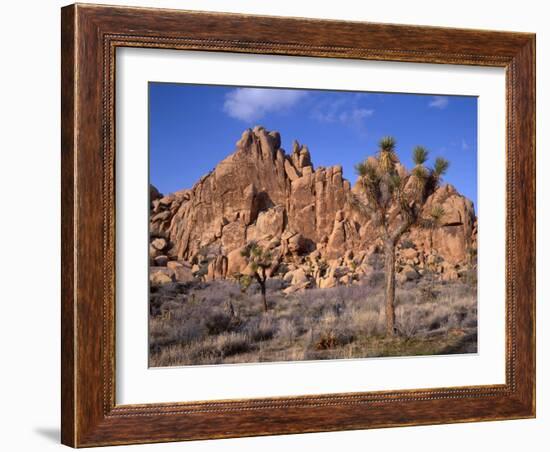 California, Joshua Tree National Park, Joshua Trees and Monzonite Granite Boulders at Hidden Valley-John Barger-Framed Photographic Print