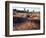 California, Joshua Tree National Park, Joshua Trees in the Mojave Desert-Christopher Talbot Frank-Framed Photographic Print