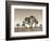 California, Joshua Tree National Park, Joshua Trees, USA-Michele Falzone-Framed Photographic Print