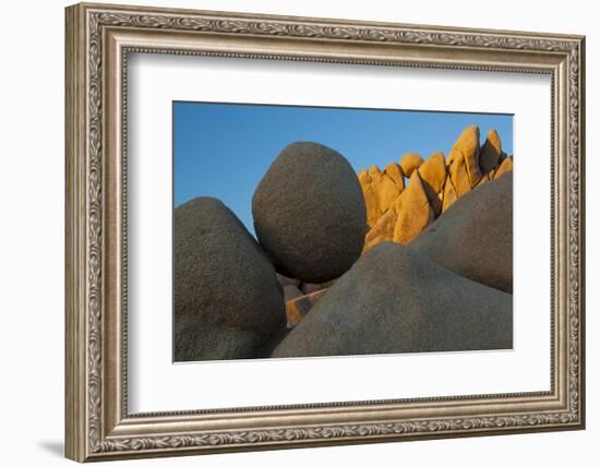 California. Joshua Tree National Park. Jumbo Rocks at Sunset-Judith Zimmerman-Framed Photographic Print