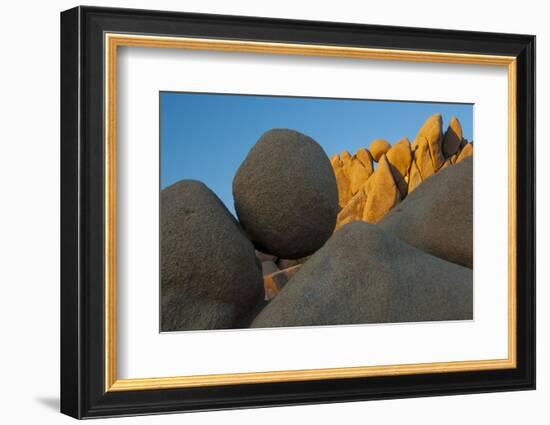 California. Joshua Tree National Park. Jumbo Rocks at Sunset-Judith Zimmerman-Framed Photographic Print