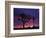 California, Joshua Tree National Park, Mojave Desert, Joshua Trees at Sunrise-Christopher Talbot Frank-Framed Photographic Print