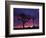 California, Joshua Tree National Park, Mojave Desert, Joshua Trees at Sunrise-Christopher Talbot Frank-Framed Photographic Print