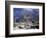 California, Joshua Tree National Park, Mojave Desert, Snow Covered Joshua Tree-Christopher Talbot Frank-Framed Photographic Print