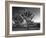 California, Joshua Tree National Park, USA-Alan Copson-Framed Photographic Print