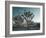 California, Joshua Tree National Park, USA-Alan Copson-Framed Photographic Print