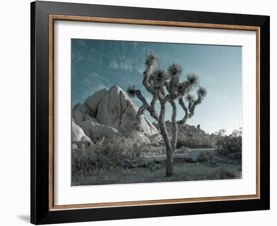 California, Joshua Tree National Park, USA-Alan Copson-Framed Photographic Print