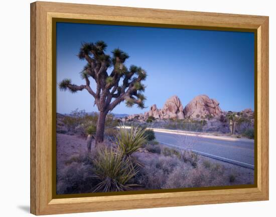 California, Joshua Tree National Park, USA-Alan Copson-Framed Premier Image Canvas