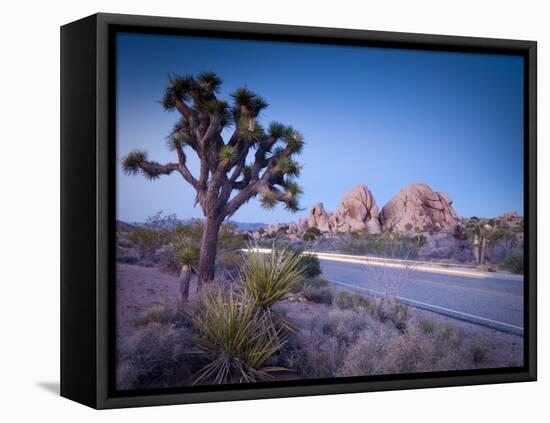 California, Joshua Tree National Park, USA-Alan Copson-Framed Premier Image Canvas