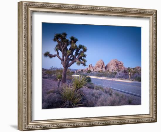 California, Joshua Tree National Park, USA-Alan Copson-Framed Photographic Print