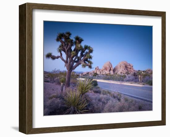 California, Joshua Tree National Park, USA-Alan Copson-Framed Photographic Print