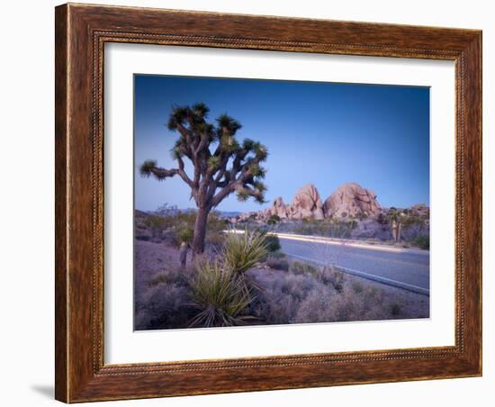 California, Joshua Tree National Park, USA-Alan Copson-Framed Photographic Print