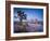 California, Joshua Tree National Park, USA-Alan Copson-Framed Photographic Print