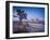 California, Joshua Tree National Park, USA-Alan Copson-Framed Photographic Print