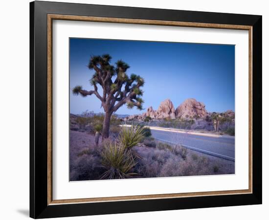 California, Joshua Tree National Park, USA-Alan Copson-Framed Photographic Print