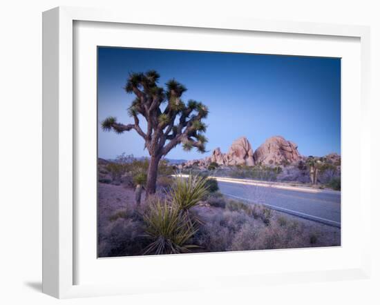 California, Joshua Tree National Park, USA-Alan Copson-Framed Photographic Print