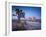 California, Joshua Tree National Park, USA-Alan Copson-Framed Photographic Print