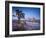 California, Joshua Tree National Park, USA-Alan Copson-Framed Photographic Print