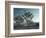 California, Joshua Tree National Park, USA-Alan Copson-Framed Photographic Print