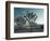 California, Joshua Tree National Park, USA-Alan Copson-Framed Photographic Print