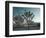 California, Joshua Tree National Park, USA-Alan Copson-Framed Photographic Print