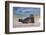 California, La Jolla. Baby Harbor Seal in Beach Water-Jaynes Gallery-Framed Photographic Print