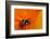 California. Ladybug on a Poppy-Jaynes Gallery-Framed Photographic Print
