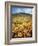 California, Lake Elsinore, Field of California Poppys on the Hillside-Christopher Talbot Frank-Framed Photographic Print