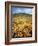 California, Lake Elsinore, Field of California Poppys on the Hillside-Christopher Talbot Frank-Framed Photographic Print