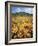 California, Lake Elsinore, Field of California Poppys on the Hillside-Christopher Talbot Frank-Framed Photographic Print