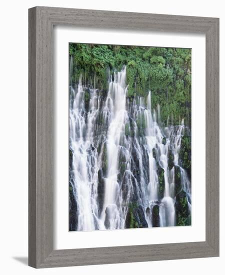 California, Mcarthur Burney Falls Memorial State Park, Burney Falls-Christopher Talbot Frank-Framed Photographic Print