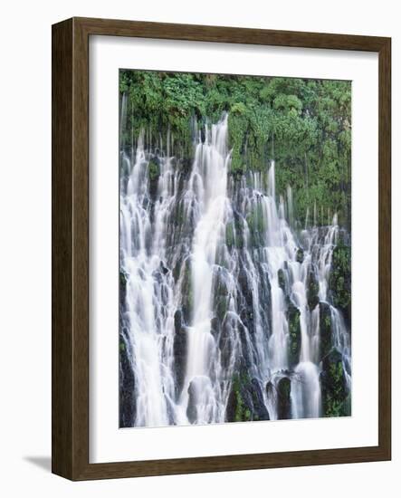 California, Mcarthur Burney Falls Memorial State Park, Burney Falls-Christopher Talbot Frank-Framed Photographic Print