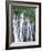 California, Mcarthur Burney Falls Memorial State Park, Burney Falls-Christopher Talbot Frank-Framed Photographic Print