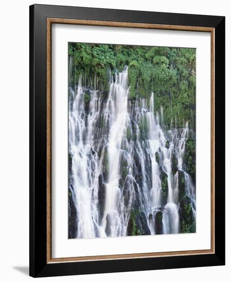 California, Mcarthur Burney Falls Memorial State Park, Burney Falls-Christopher Talbot Frank-Framed Photographic Print