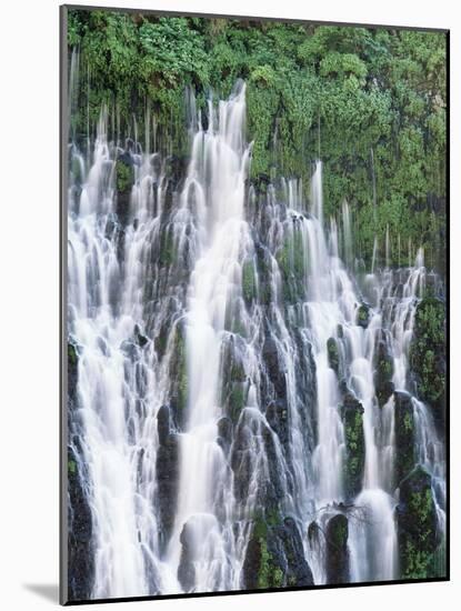 California, Mcarthur Burney Falls Memorial State Park, Burney Falls-Christopher Talbot Frank-Mounted Photographic Print