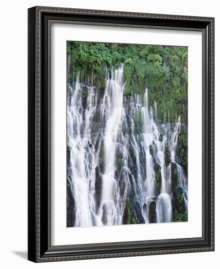 California, Mcarthur Burney Falls Memorial State Park, Burney Falls-Christopher Talbot Frank-Framed Photographic Print