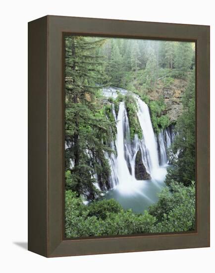 California, Mcarthur Burney Falls Memorial State Park, Burney Falls-Christopher Talbot Frank-Framed Premier Image Canvas