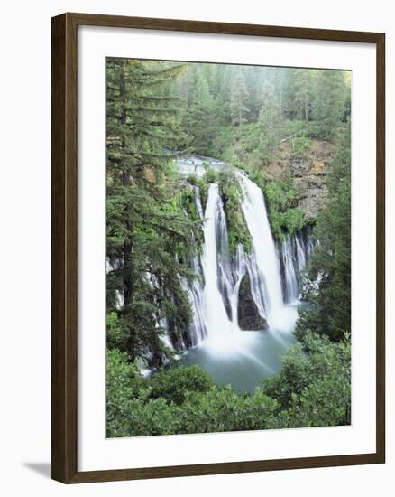 California, Mcarthur Burney Falls Memorial State Park, Burney Falls-Christopher Talbot Frank-Framed Photographic Print