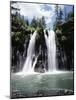 California, Mcarthur–Burney Falls Memorial State Park, Burney Falls-Christopher Talbot Frank-Mounted Photographic Print