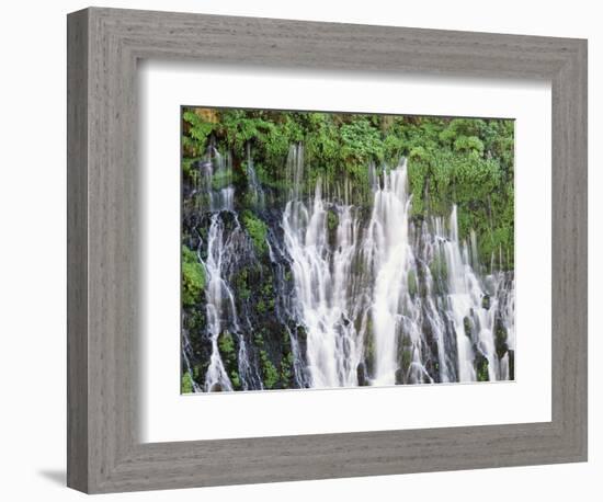 California, Mcarthur–Burney Falls Memorial State Park, Burney Falls-Christopher Talbot Frank-Framed Photographic Print