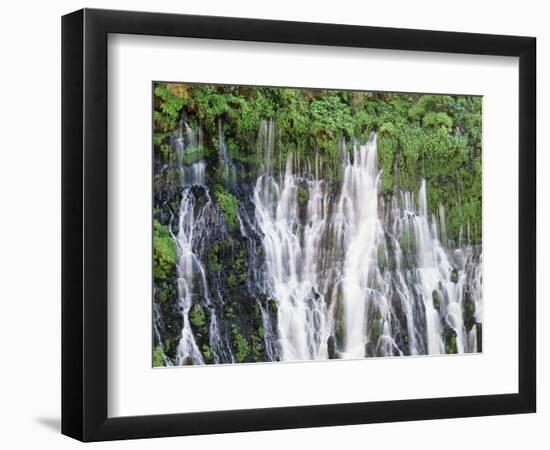 California, Mcarthur–Burney Falls Memorial State Park, Burney Falls-Christopher Talbot Frank-Framed Photographic Print