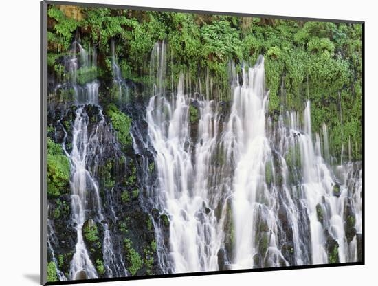 California, Mcarthur–Burney Falls Memorial State Park, Burney Falls-Christopher Talbot Frank-Mounted Photographic Print