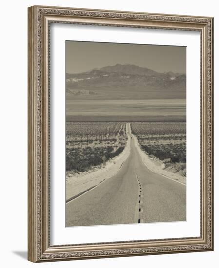 California, Mojave Desert, Amboy Road, USA-Walter Bibikow-Framed Photographic Print