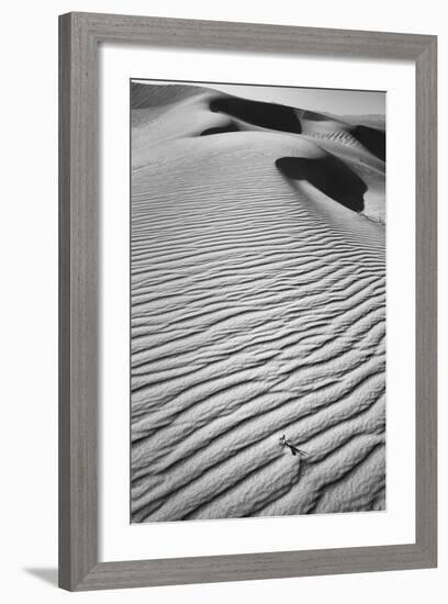 California, Mojave Trails National Monument-Judith Zimmerman-Framed Photographic Print