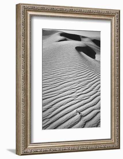 California, Mojave Trails National Monument-Judith Zimmerman-Framed Photographic Print