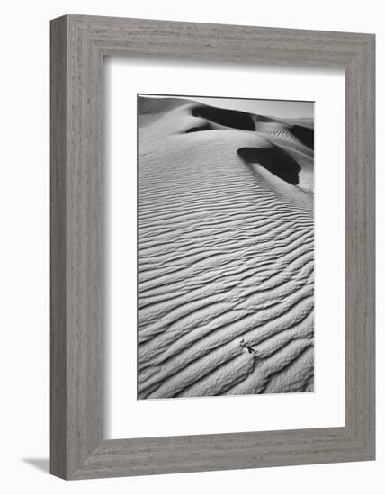 California, Mojave Trails National Monument-Judith Zimmerman-Framed Photographic Print